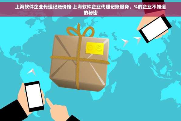上海软件企业代理记账价格 上海软件企业代理记账服务，%的企业不知道的秘密