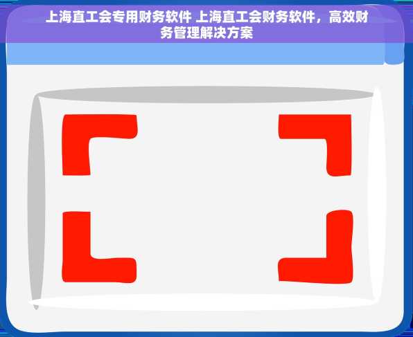 上海直工会专用财务软件 上海直工会财务软件，高效财务管理解决方案
