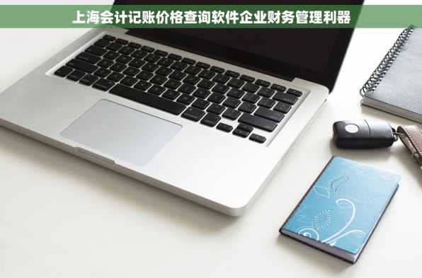 上海会计记账价格查询软件企业财务管理利器