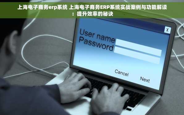 上海电子商务erp系统 上海电子商务ERP系统实战案例与功能解读：提升效率的秘诀