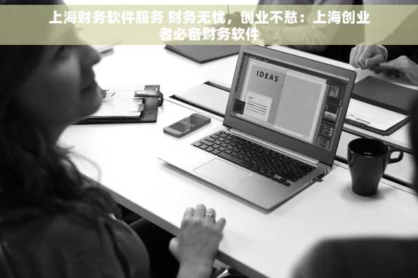 上海财务软件服务 财务无忧，创业不愁：上海创业者必备财务软件