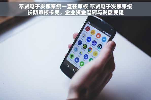 奉贤电子发票系统一直在审核 奉贤电子发票系统长期审核卡壳，企业资金流转与发展受阻