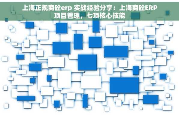 上海正规商砼erp 实战经验分享：上海商砼ERP项目管理，七项核心技能