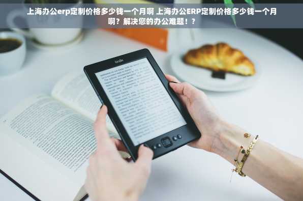 上海办公erp定制价格多少钱一个月啊 上海办公ERP定制价格多少钱一个月啊？解决您的办公难题！?