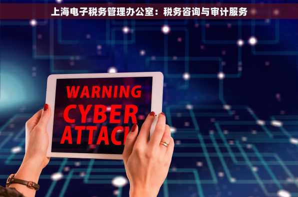 上海电子税务管理办公室：税务咨询与审计服务