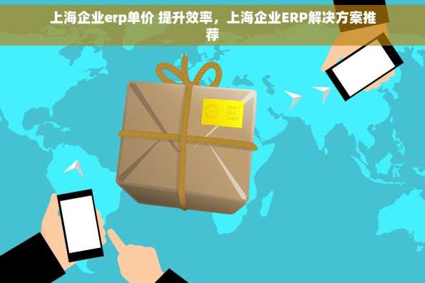 上海企业erp单价 提升效率，上海企业ERP解决方案推荐