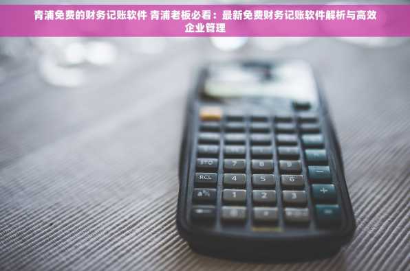 青浦免费的财务记账软件 青浦老板必看：最新免费财务记账软件解析与高效企业管理