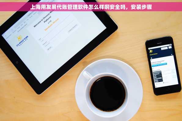 上海用友易代账管理软件怎么样啊安全吗，安装步骤