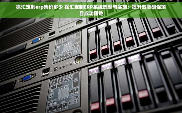 徐汇定制erp售价多少 徐汇定制ERP系统选型与实施：提升效率确保项目成功落地