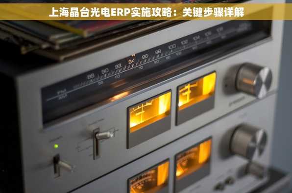 上海晶台光电ERP实施攻略：关键步骤详解