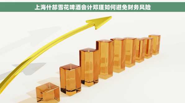 上海什邡雪花啤酒会计邓瑾如何避免财务风险