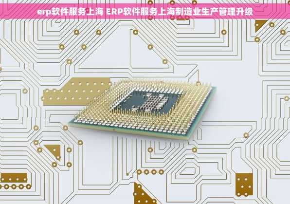 erp软件服务上海 ERP软件服务上海制造业生产管理升级