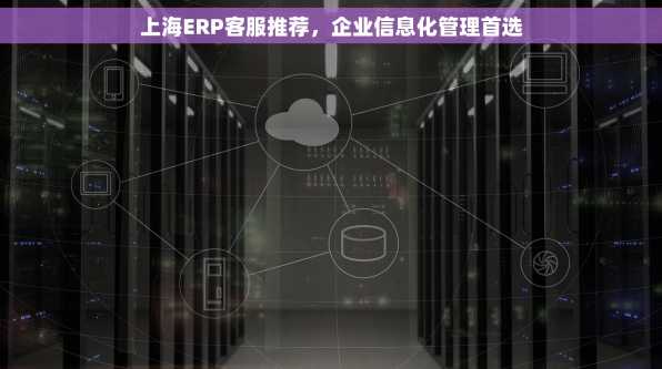 上海ERP客服推荐，企业信息化管理首选