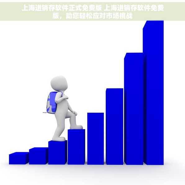 上海进销存软件正式免费版 上海进销存软件免费版，助您轻松应对市场挑战