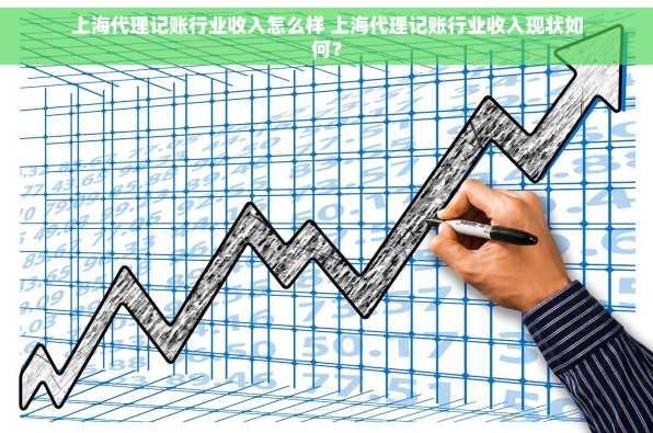 上海代理记账行业收入怎么样 上海代理记账行业收入现状如何？