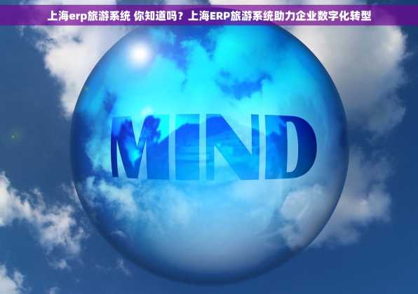 上海erp旅游系统 你知道吗？上海ERP旅游系统助力企业数字化转型
