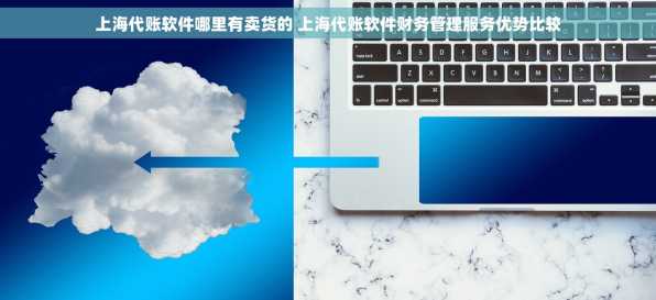 上海代账软件哪里有卖货的 上海代账软件财务管理服务优势比较