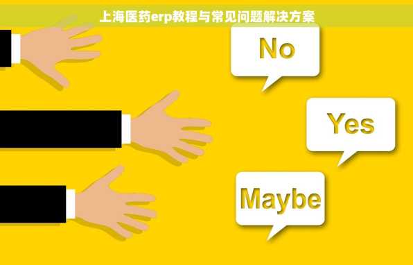 上海医药erp教程与常见问题解决方案