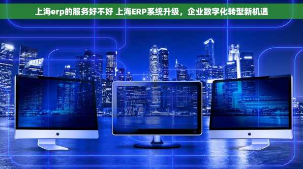 上海erp的服务好不好 上海ERP系统升级，企业数字化转型新机遇