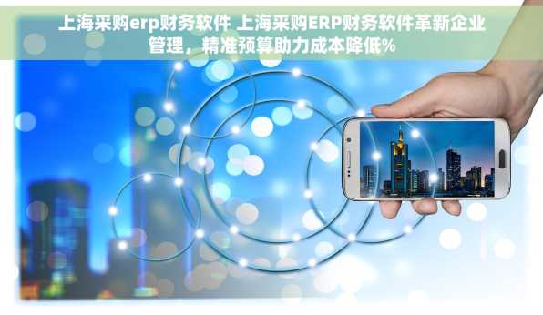 上海采购erp财务软件 上海采购ERP财务软件革新企业管理，精准预算助力成本降低%