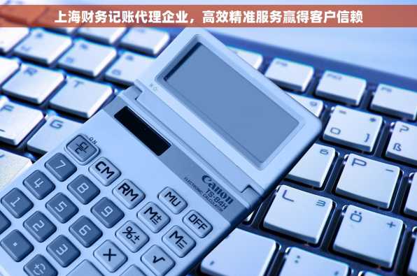 上海财务记账代理企业，高效精准服务赢得客户信赖