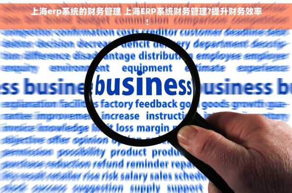 上海erp系统的财务管理 上海ERP系统财务管理?提升财务效率！