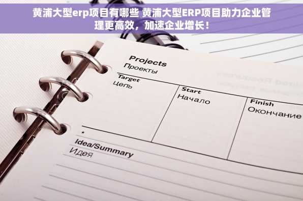 黄浦大型erp项目有哪些 黄浦大型ERP项目助力企业管理更高效，加速企业增长！