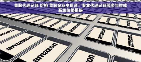 普陀代理记账 价格 普陀企业主福音：专业代理记账服务与智能系统价格揭秘