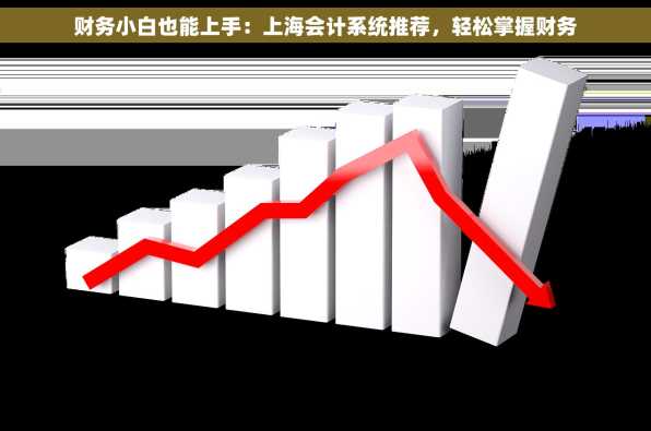 财务小白也能上手：上海会计系统推荐，轻松掌握财务