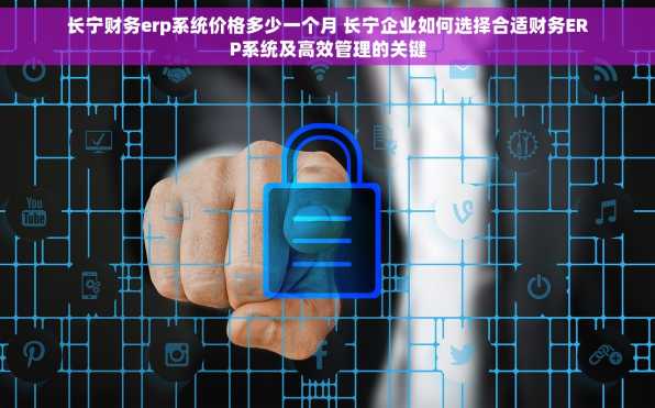 长宁财务erp系统价格多少一个月 长宁企业如何选择合适财务ERP系统及高效管理的关键