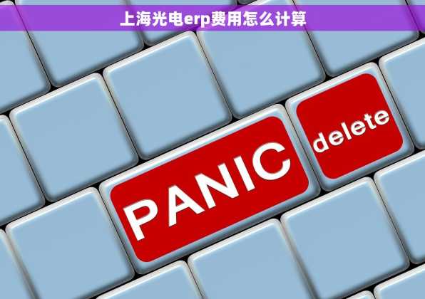 上海光电erp费用怎么计算