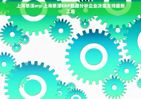 上海慈溪erp 上海慈溪ERP数据分析企业决策支持最新工具
