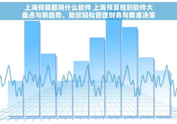 上海预算都用什么软件 上海预算规划软件大盘点与新趋势，助您轻松管理财务与精准决策
