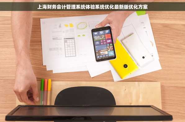 上海财务会计管理系统体验系统优化最新版优化方案