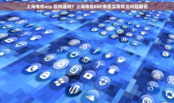 上海电机erp 你知道吗？上海电机ERP系统实施常见问题解答