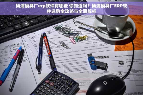 杨浦模具厂erp软件有哪些 你知道吗？杨浦模具厂ERP软件选购全攻略与全面解析