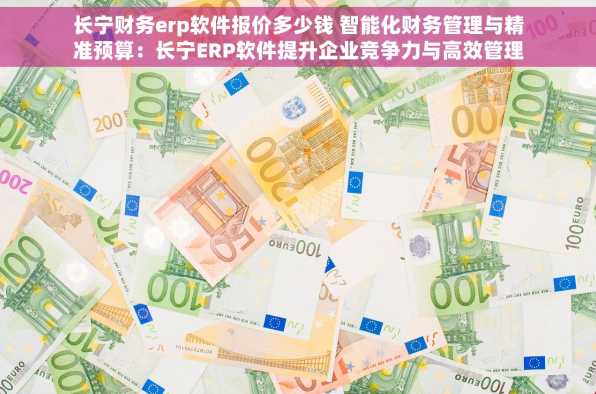 长宁财务erp软件报价多少钱 智能化财务管理与精准预算：长宁ERP软件提升企业竞争力与高效管理