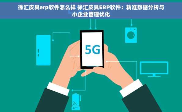 徐汇皮具erp软件怎么样 徐汇皮具ERP软件：精准数据分析与小企业管理优化