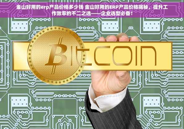金山好用的erp产品价格多少钱 金山好用的ERP产品价格揭秘，提升工作效率的不二之选——企业选型必备！