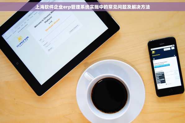上海软件企业erp管理系统实施中的常见问题及解决方法