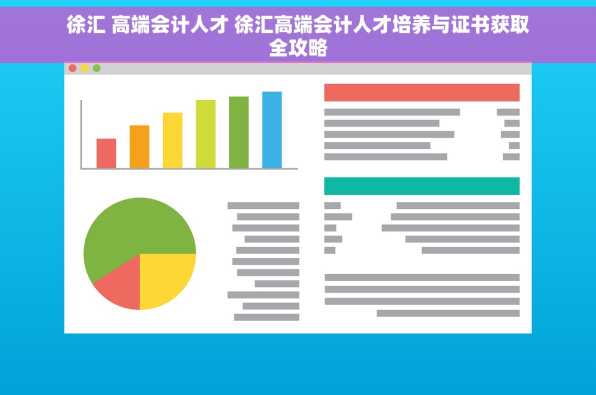 徐汇 高端会计人才 徐汇高端会计人才培养与证书获取全攻略