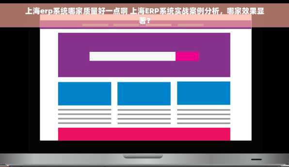 上海erp系统哪家质量好一点啊 上海ERP系统实战案例分析，哪家效果显著？