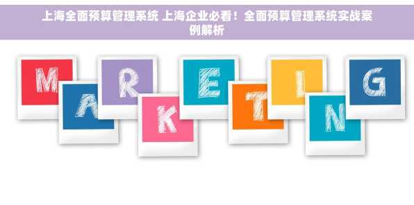 上海全面预算管理系统 上海企业必看！全面预算管理系统实战案例解析