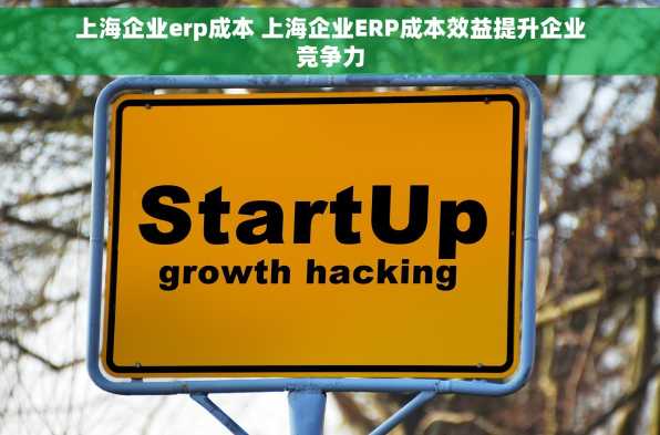 上海企业erp成本 上海企业ERP成本效益提升企业竞争力