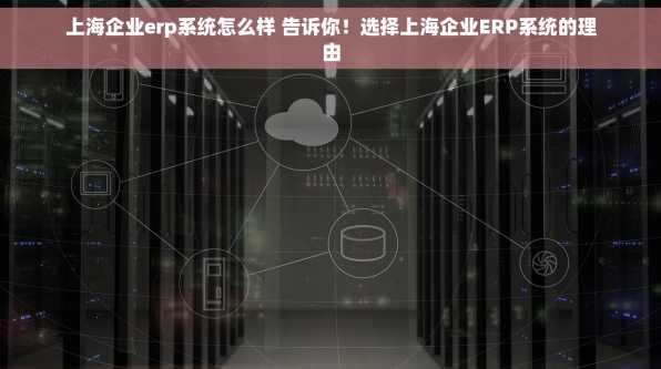 上海企业erp系统怎么样 告诉你！选择上海企业ERP系统的理由