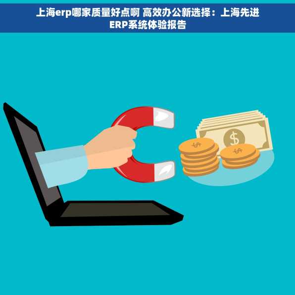 上海erp哪家质量好点啊 高效办公新选择：上海先进ERP系统体验报告