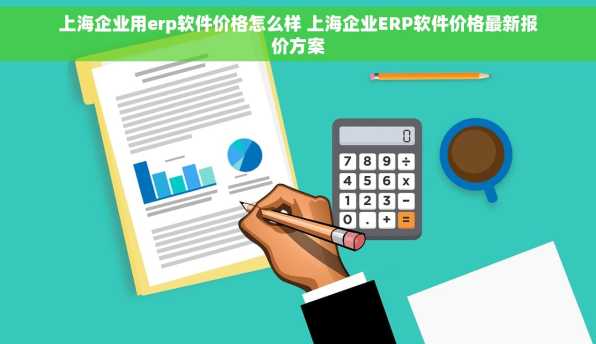 上海企业用erp软件价格怎么样 上海企业ERP软件价格最新报价方案