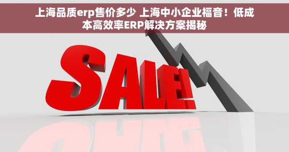 上海品质erp售价多少 上海中小企业福音！低成本高效率ERP解决方案揭秘