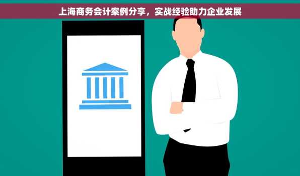 上海商务会计案例分享，实战经验助力企业发展