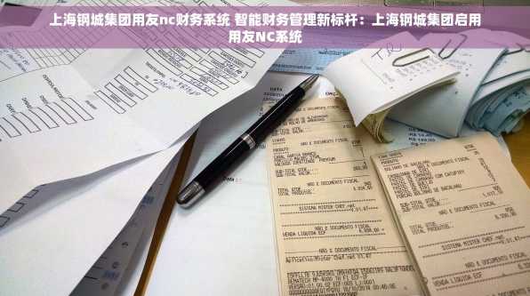上海钢城集团用友nc财务系统 智能财务管理新标杆：上海钢城集团启用用友NC系统